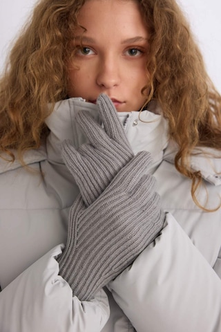 DeFacto Kadın Fonksiyonel Triko Eldiven C6839AX24WNGR100