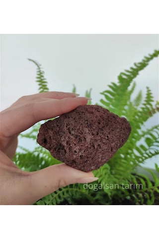 1 Kg 5-10 Cm Akvaryum Taşı Teraryum Taşı Filtre Taş Pomza Taşı