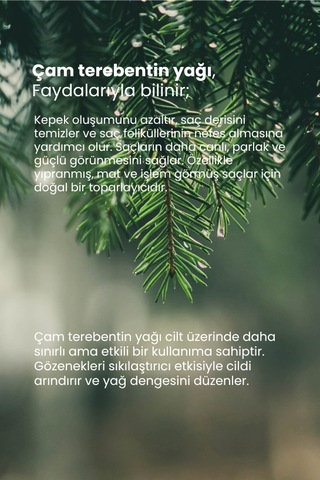 Tto Thermal Çam Terebentin Yağı 10 Ml