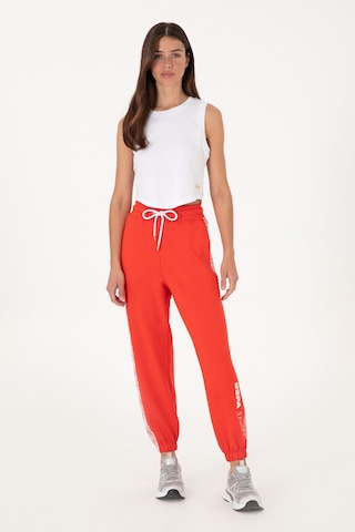 U.S. Polo Assn. Kadın Kırmızı Jogger Eşofman Altı 50300713-VR213