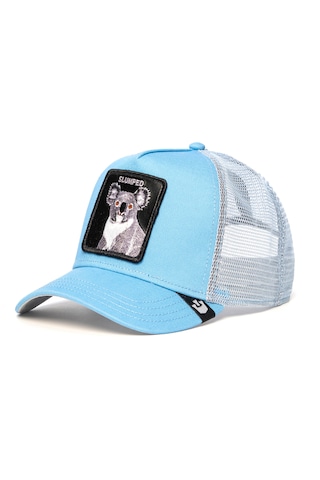 Goorin Bros. The Slumped Koala Koala Figürlü Şapka 101-1674 Mavi