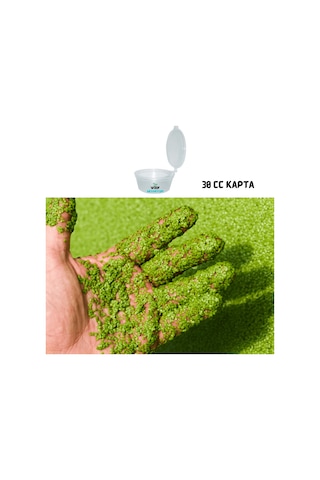 Woof Akvaryum Su Mercimeği Kapta Lemna Minor Su Üstü Bitkisi 30 Cc