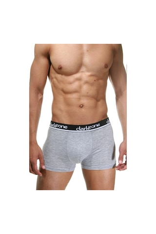 Darkzone Gri Erkek Boxer - Dzn2303