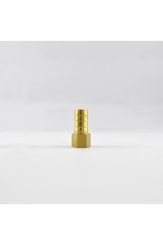 Brio Hava Hortum Dişi Rekoru 1/4 12mm 2 Adet 1/4