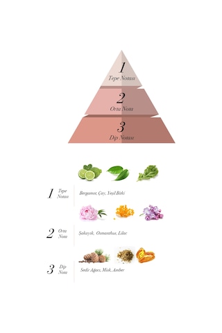 Prova D' Eclade EDP Meyveli Çiçeksi Kadın Parfüm 120 ML
