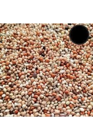 250gr Üçlü Karışım Kuş Yemi Her Kuş Için Özel Üretilmiştir Kuş Yemi Kanarya Hint Bülbülü Ödüllü Kuş