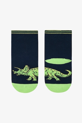 Penti Erkek Çocuk Dinosaur Era 4lü Soket Çorap