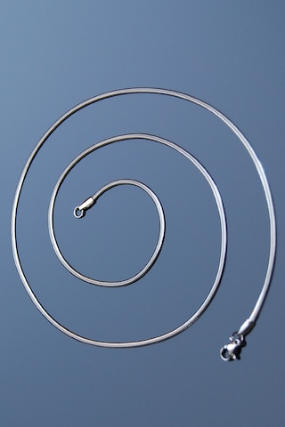 Rua Jewelry Yassı Yılan İtalyan Zincir Paslanmaz Çelik Kolye 2 MM Gümüş