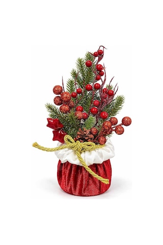 Kokinalı Kozalaklı Mini Çam Aranjmanı 25 Cm