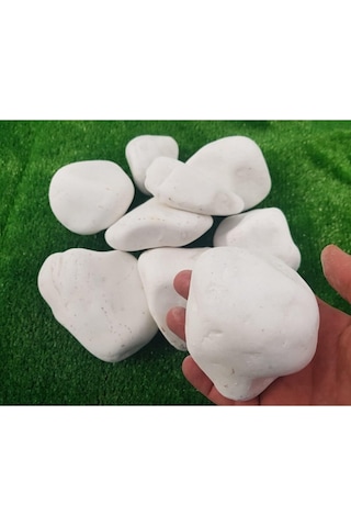 Ekodoğa Dolomit Taş 25 Kg 6-10 Cm Beyaz Dolomit Taş Saksı Dibi Dekoratif Taş Bahçe Süsleme Taşı Peyzaj Taşı