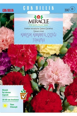 Miracle Chabaud Mixed Karışık Renkli Karanfil Çiçeği Tohumu 190