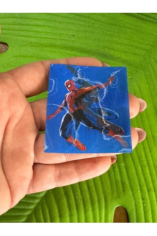 6x5 Cm 3 Boyutlu Değişen Spider Man Arma Dikiş Giyim Aksesuarı