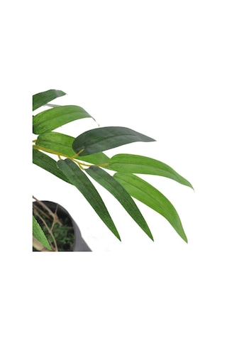 Yapay Ağaç Bambu Ağacı 2 Gövdeli Çalılı 90X70Cm Siyah Plastik Sak