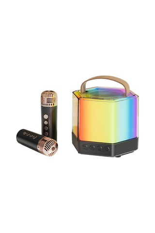 Skycıty Kablosuz Karaoke Ses Sistemi, İki Mikrofonlu