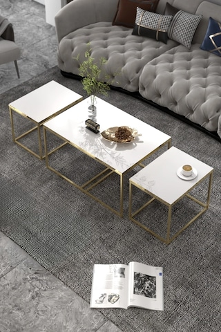 Vexor Orta Sehpa Ve Zigon Yan Sehpa Flora Set Gold Beyaz Çok Renkli