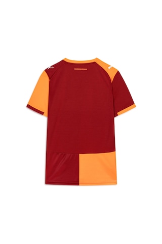 Puma Galatasaray 25/26 Erkek İç Saha Forması 779809 01 Kırmızı