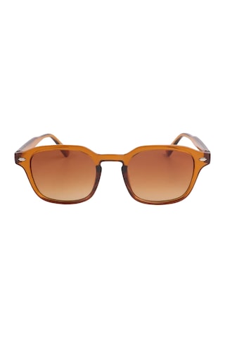 Carmelo Eyewear C02ge026 Kahverengi Erkek Güneş Gözlüğü