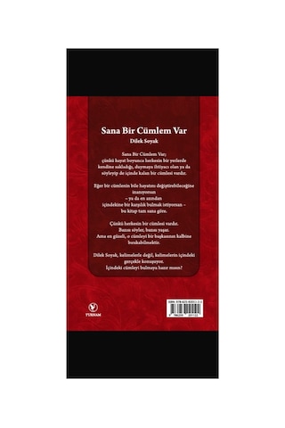 Sana Bir Cümlem Var - 890234313