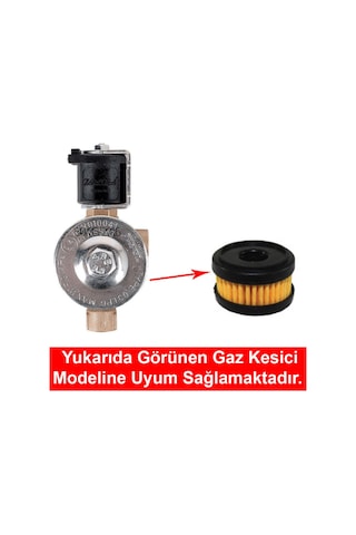 Zavoli Gaz Kesici Filtre 2 Adet/zavoli Gaz Kesici İç Filtresi 2 Adetdir.