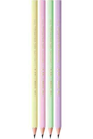 Ayrex Bıc Evolution Pastel Kurşun Kalem, 12'li Kutu, Kıymık Oluşturmaz, Çiğnemeye Karşı Dayanıklı, Kolay Açı Genel