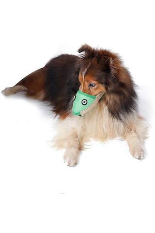 Homyl Pet Köpek Namlu Ayarlanabilir Ağız Maskesi Anti L-yeşil