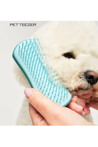 Tangle Teezer Pet Teezer Detangling Dolaşık Açıcı Küçük Irk Köpek Bakım Fırçası 11,7x5 Cm Mavi-turkuaz