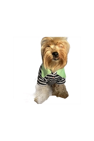 Kemique Grass Hopper Stripe Polo Yaka Köpek Tişörtü