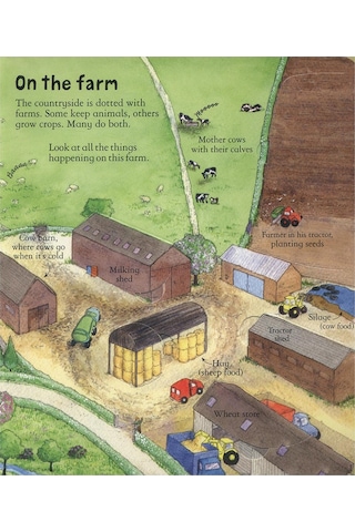 Look Inside A Farm - Usborne