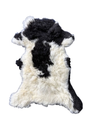 Gerçek Uzun Tüylü Koyun Postu - Naturel Uzun Tüylü Koyun Postu - Doğal Post Paspas Çok Renkli