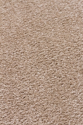 Eko Halı Zen Amorf 02 Beige Amorf Kesim Hav Toz Vermez Yumuşak Dokulu Salon Halısı Oturma Odası Halısı Yatak Odası Halısı Koridor Halısı Mutfak Halısı Modern Makine Halısı Bej