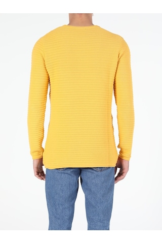 Colin's Slim Fit Safran Erkek Kazak CL1052362_Q1.V1_YLS