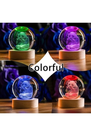 İsme Özel Büyük Boy Renkli Işıklı Ahşap Kaideli Panda Temalı Cam Küre 8cm