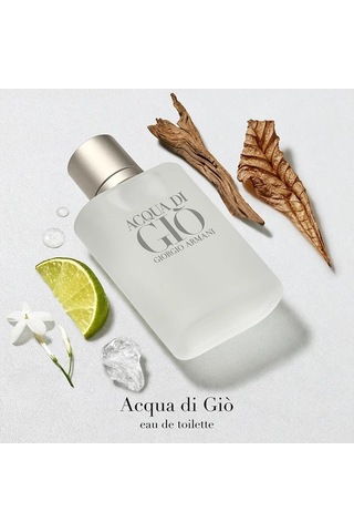 Giorgio Armani Acqua Di Gio Edt 100 Ml Erkek Parfüm Diğer