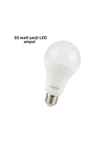 Dl-2030 Şarjlı Led Ampul Bej