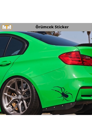 Örümcek Oto Sticker 15 Cm