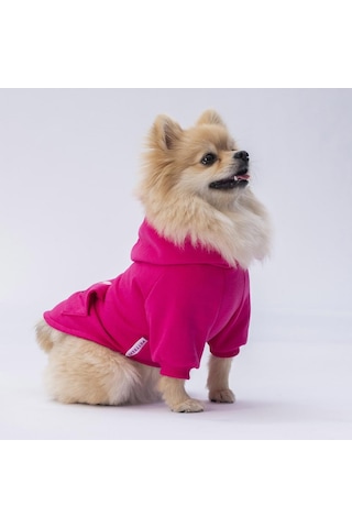 Pettrend Tavşan Kanguru Cepli Kedi-Köpek Hoodie Sweatshirt