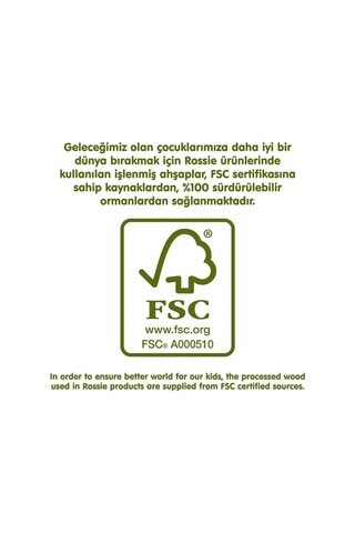 Rossie Ahşap Geometrik Zeka Bulmacası  Yapboz