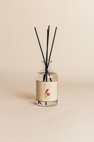 Koza Home Ginger Bambu Çubuklu Oda Kokusu 250 ML