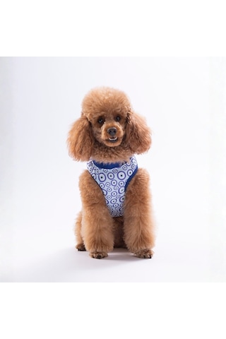 Charm Tişört Kedi Köpek Tişörtü-kedi Köpek Kıyafeti