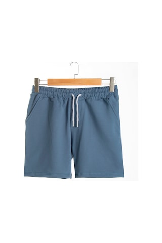 Terapi Men Erkek Basic Pastel Mavi Regular Fit Şort & Bermuda Pastel Mavi