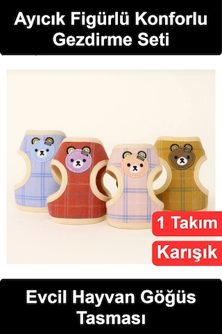 Keditasması Ayıcık Figürlü Ekose Desenli Göğüs Gezdirme Tasması Seti Kayışlı Küçük Irk Köpek Evcil