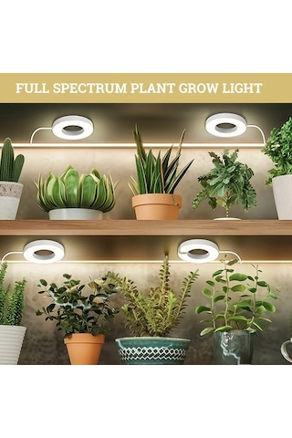 Willowhaven Hotu 4 Head Led Dekoratif Işık Usb Bağlantılı Zamanlayıcı Kırmızı Mavi Beyaz Işık Ayarı Füme