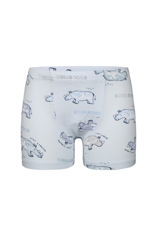 Donella 5'li Erkek Çocuk Boxer Mavi