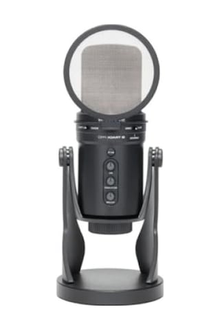Profesyonel Mikrofon Pop Filtresi 9,5 Cm