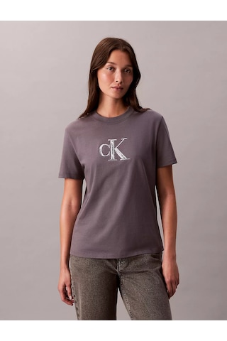 Kadın Kısa Kol Ck Yazı Detay Bisiklet Yaka Gri T-shirt Gri