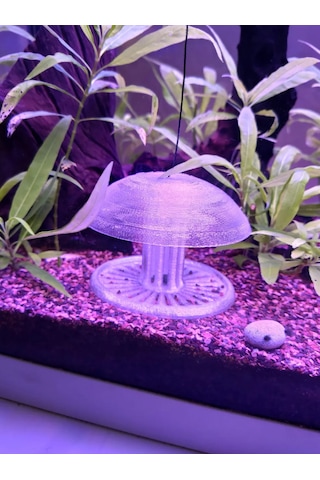 Pureysma Akvaryum Salyangoz Tuzağı Şeffaf Etkili Tuzak + Dekoratif Akvaryum