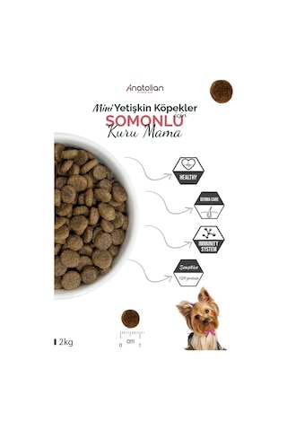 Anatolian Premium Somonlu Küçük Irk Yetişkin Köpek Maması 2 KG