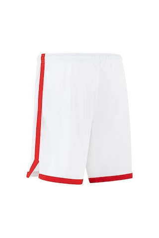 Puma Turkey Game Short Erkek Beyaz Şort 606605 Beyaz