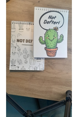 A5 Not Defteri Renkli Kaktüs Kapak Kareli Defter 50 Yaprak 2'li Set Çok Renkli