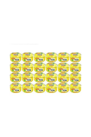 Dardanel Ekonomik Ton Balığı 24 x 80 G